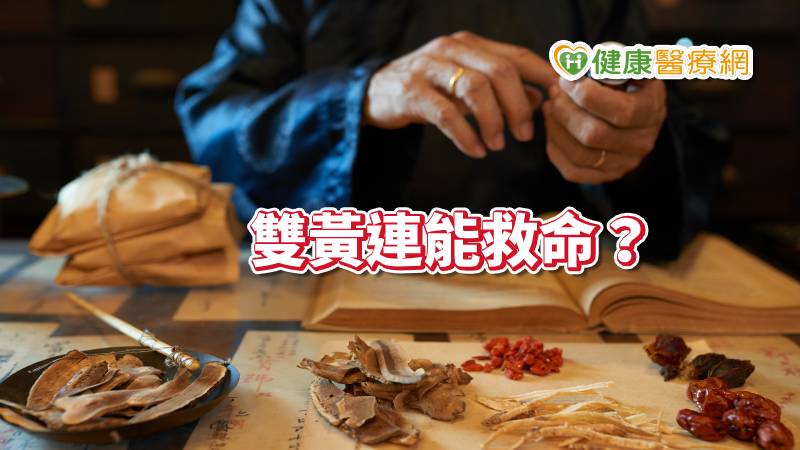 網傳「雙黃連」治肺炎？　中醫告訴你真相