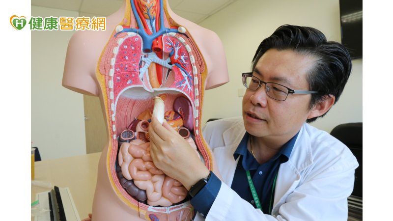 當發生食道弛緩不能症時，患者會有下食道括約肌持續性收縮、無法放鬆等現象，且會出現漸進式吞嚥困難，並伴隨胸痛、嘔吐、胃酸逆流、營養不良等症狀，發生原因不明。