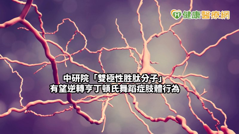 罹患亨丁頓氏舞蹈症的病人，變異的亨丁頓蛋白帶有過長的聚麩醯胺酸鏈(polyglutamine)，隨著聚麩醯胺酸鏈的增加，亨丁頓蛋白容易堆積在腦部，破壞神經元。