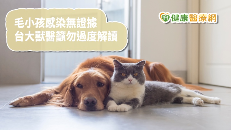 香港狗兒新冠病毒陽性？　台大獸醫教授：勿過度解讀，恐是汙染
