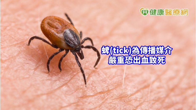 此感染症為近年來於亞洲地區發生，並藉由蜱(tick)媒介傳播的新興人畜共通疾病，感染患者可出現發燒、血小板及白血球減少等特徵。