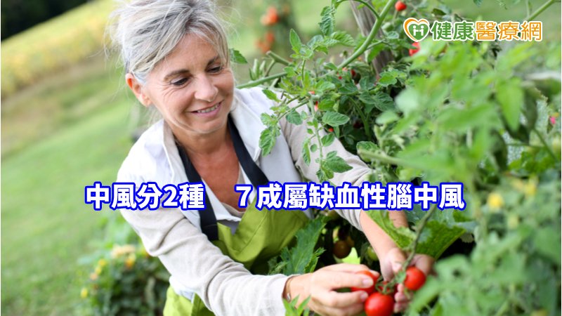 中風可分為「缺血性腦中風」及「出血性腦中風」，前者是因血栓塞住血管，使血流無法通過，造成組織缺氧；後者是因腦部血管破裂，使血流溢出血管，造成局部組織壓迫及缺氧。
