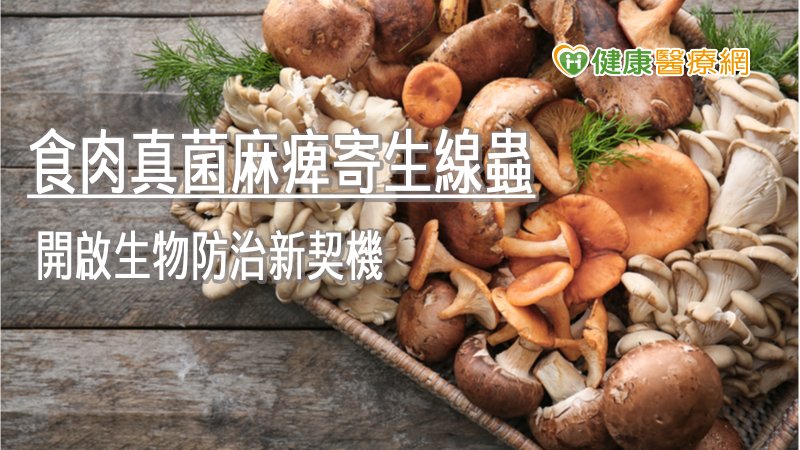 菇類的毒素則是能直接造成細胞死亡。因此在未來可望發展成新的生物防治方法應用在農業上，或是開發出新藥物，以對抗感染人體及動物的寄生性線蟲。