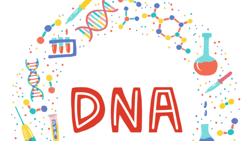研究人員發現疾病其實是更具可塑性的，且是在DNA、生活方式及環境之間複雜相互作用之下的結果。