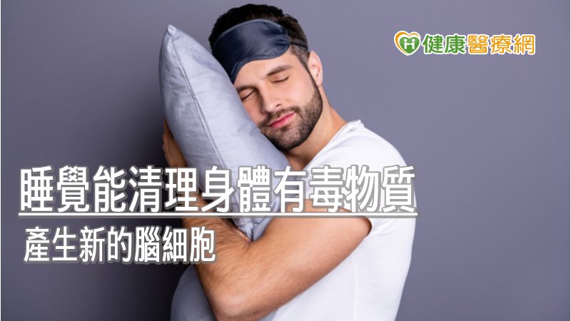 睡眠時，大腦仍非常忙碌，會根據白天所吸收的感官資訊來鞏固記憶，在不同神經元之間創造新的突觸或連接，備份這些資訊。