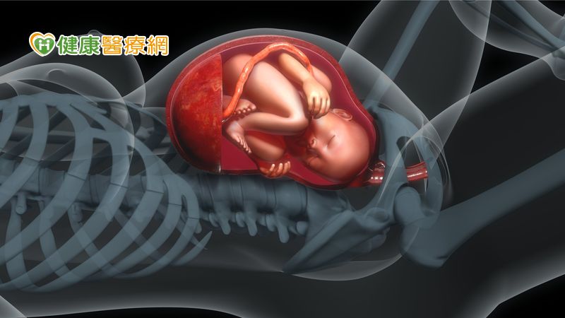 肚子裡的寶貝健康嗎 高層次超音波從頭到腳都可檢查 健康醫療網 健康養生新聞資訊網路媒體 肚子裡的寶貝健康嗎 高層次超音波從頭到腳都可檢查 健康醫療網 健康養生新聞資訊網路媒體