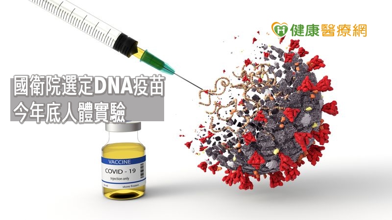 研究人員以人工合成新冠病毒DNA後，可透過大腸桿菌大量培養製作疫苗，整體研發時間、至少比其他疫苗研發快3個月，具有快速生產優勢，且於動物實驗結果也證實，可以有效中和病毒抗體。