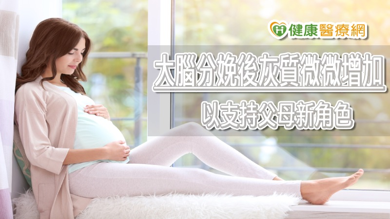 懷孕變笨，生完就會恢復正常？ 研究揭分娩前、後大腦微妙變化