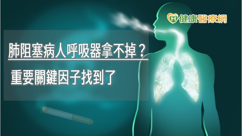 肺阻塞病人呼吸器拿不掉？　重要關鍵因子找到了