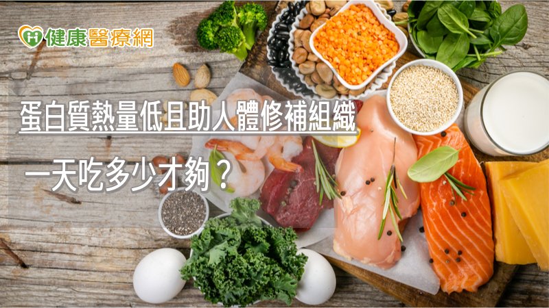 根據每日飲食指南建議，一般成年人豆魚蛋肉類每日建議攝取3至8份，因此民眾可依據飲食習慣及喜好，並參考國民健康署建議的攝取量，從食物中攝取足夠的蛋白質。