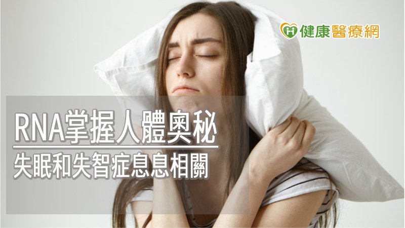 睡不好真的會傷大腦！　高醫神經部揭開睡眠的奧秘