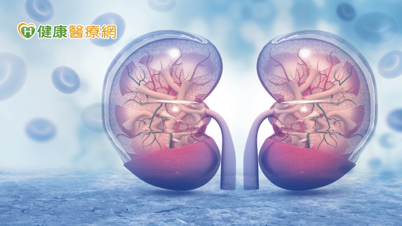 台灣腎臟醫學會慢性腎臟病防治整合委員會主任委員，高醫腎臟科邱怡文主任表示，慢性腎臟病患者因腎絲球過濾功能較一般人差，攝取過多蛋白質容易造成腎臟額外的負荷，故於慢性腎臟病第四期時經過醫師評估後，可立即開始進行低蛋白飲食並搭配酮酸胺基酸，以延緩腎臟惡化的速度。