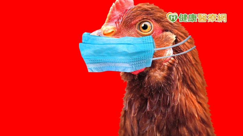 WHO表示，由於家禽及環境仍檢出病毒，預期仍會出現病例，惟病毒於人類間尚未具持續傳播能力，故人傳人傳播風險低。目前新型A型流感旅遊疫情建議包含中國大陸安徽省、福建省、廣東省、湖南省及山東省為第二級警示（Alert），中國大陸其他省市及寮國為第一級注意（Watch）。