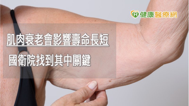研究結果也證實衰老的肌肉會過度利用肌肉顫慄來產生熱能，以幫助維持生理恆定。