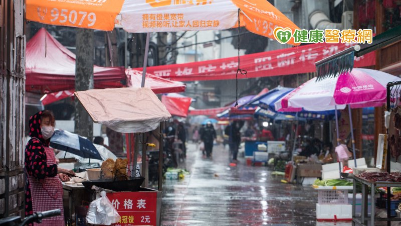 WHO公共衛生緊急計畫執行主任Mike Ryan表示，目前各項檯面上的推論，都不足以推導出新冠肺炎起源自中國或其他地區。據悉，跨國團隊和中國科學家將調查，當地野味市場以及最初感染的案例，以及「名單上」的病毒實驗室。