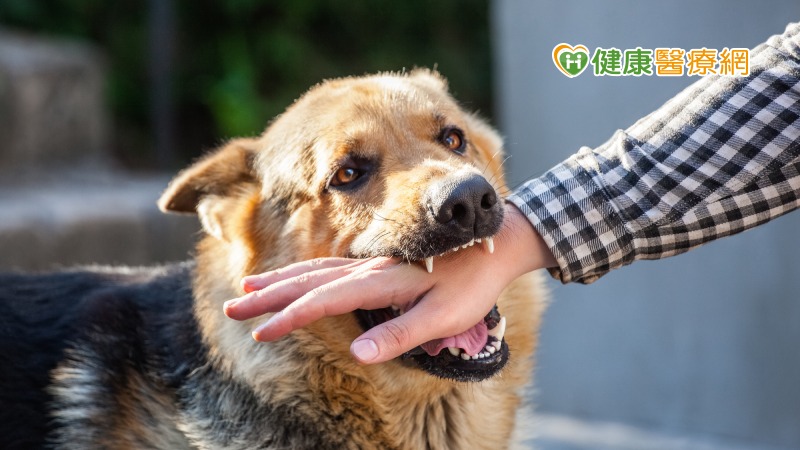 被狗咬到怎麼辦？　你該擔心的是破傷風而非狂犬病