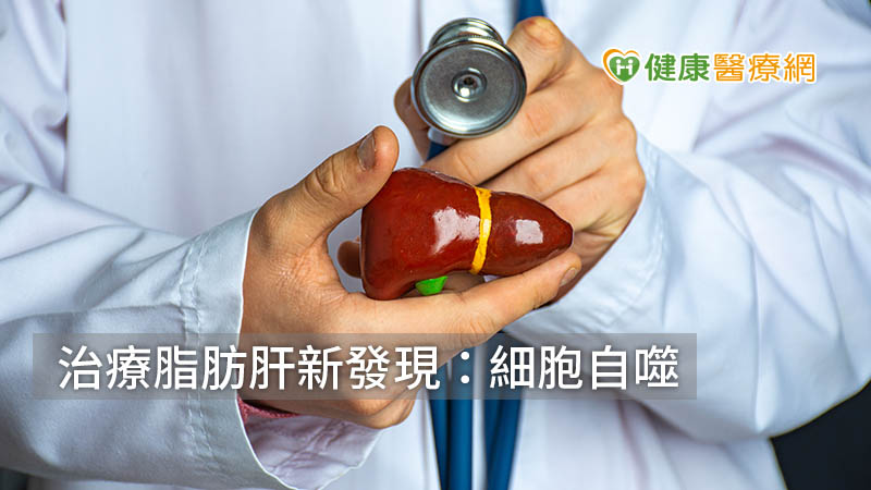 中央研究院生物化學研究所陳瑞華特聘研究員團隊發現一種操控細胞自噬(autophagy)的新機制，經動物實驗證明能抑制脂肪肝形成。
