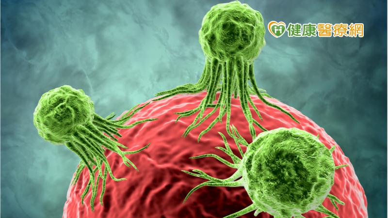 破解癌細胞詭計　國衛院新研究：抑制腫瘤生長、克服抗藥性