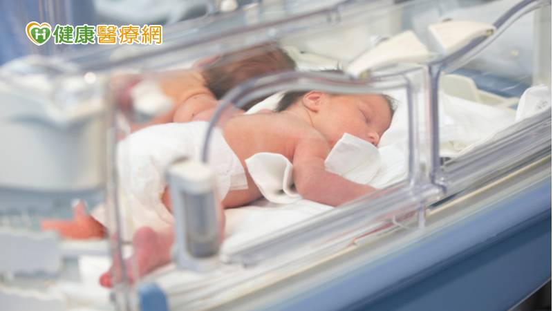 雙胞胎早產兒間隔生產　馬偕周產期跨團隊助順產