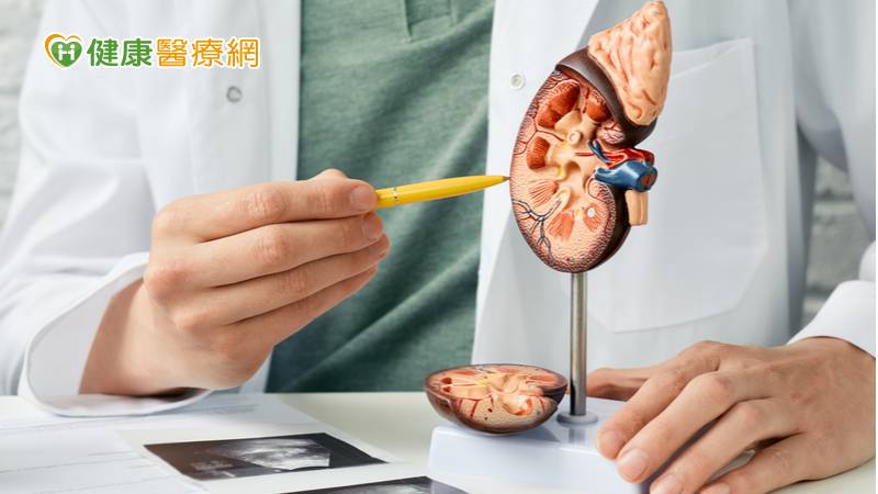 自然孔道無創腎內手術　腎臟囊泡、腫瘤、結石治療新利器