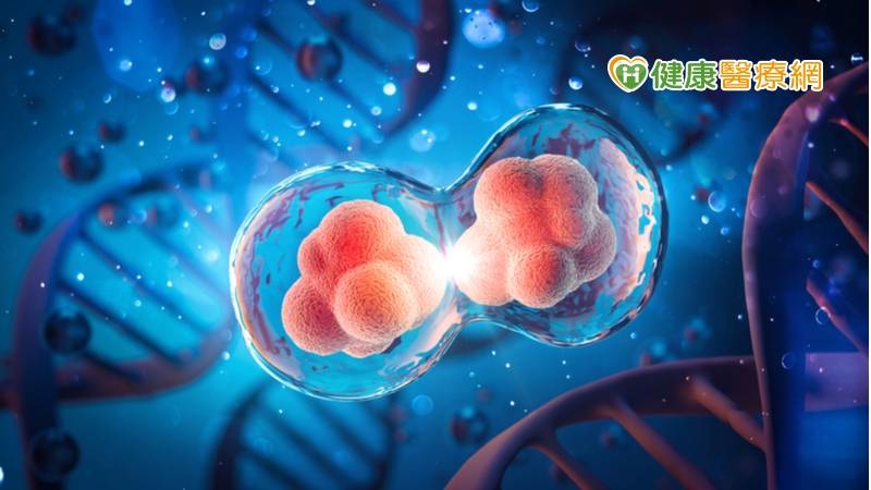 中央研究院細胞與個體生物學研究所助研究員陳振輝團隊在研究斑馬魚發育時，意外發現另一種獨特的細胞分裂方式，其分裂過程不需要進行遺傳物質（DNA）複製，因此命名為「無合成分裂」