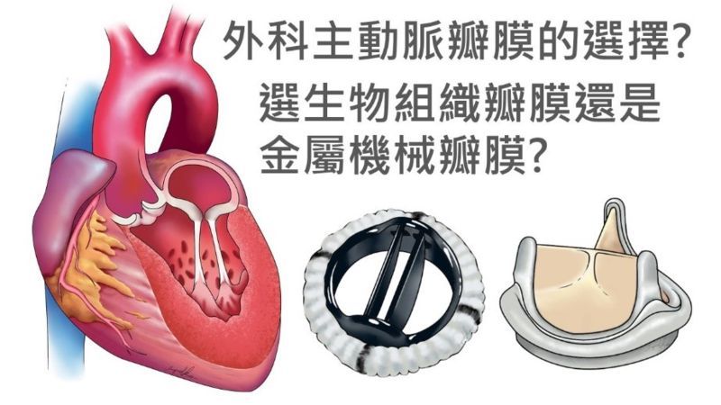 陳紹緯醫師提供