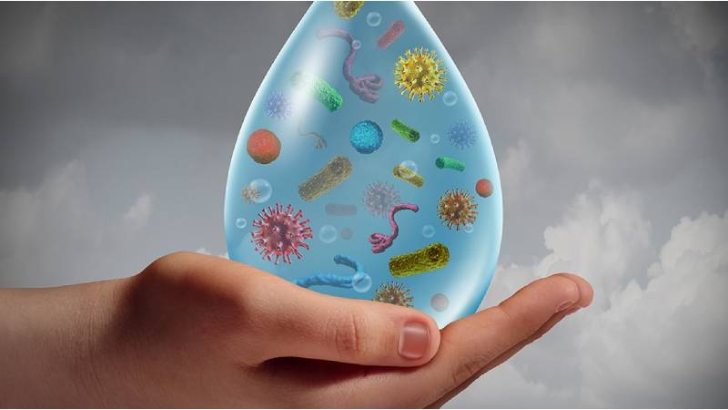 根據一項重大科學評論，環境中的化學污染 包括廣泛添加到塑料中的雙酚 A （BPA）、殺蟲劑、阻燃劑和空氣污染等 — 正加速全球性肥胖流行病，有些甚至會導致肥胖傳染給兒童，造成代代相傳的問題。圖片取自:（示意圖123rf）