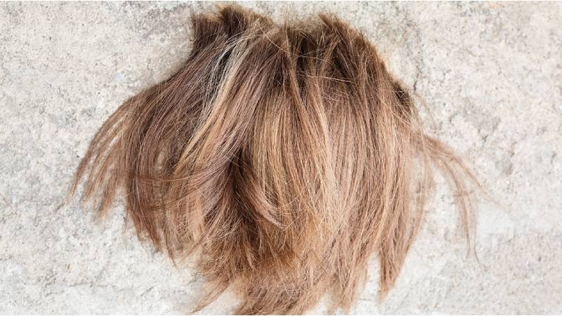 戈蒂埃將捐贈的頭髮變成了用於吸收海上石油的墊子。圖片取自:（示意圖123rf）