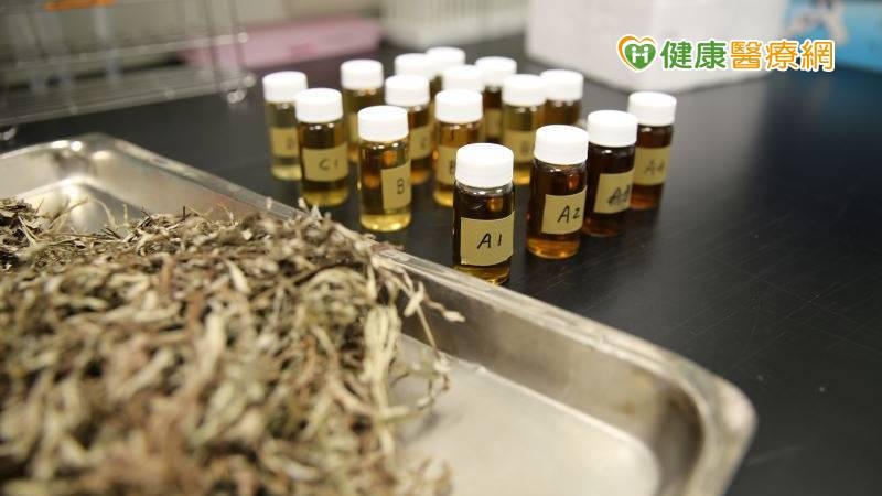 花蓮慈濟醫院院長林欣榮帶領相關疾病研究中心團隊，針對本土中草藥的「艾草」進行深入探討，著重於對抗巴金森氏症並發表於綜合與補充醫學領域排名第一的國際期刊《Phytomedicine》（植物醫學期刊）。