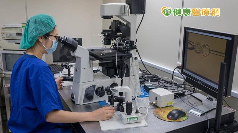醫檢師在顯微鏡下執行精子與卵子的受精作業。（圖/長庚醫院提供）