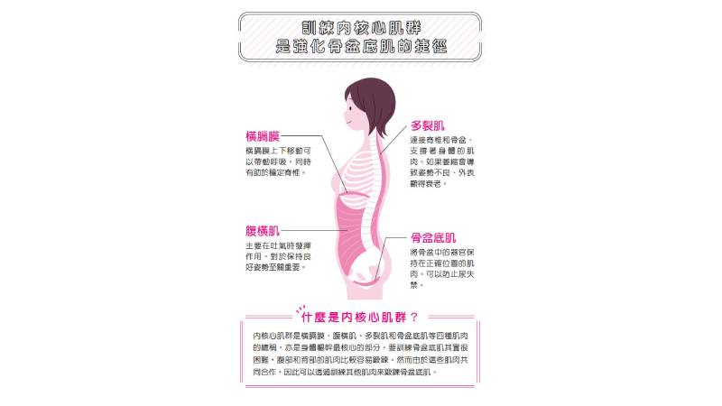訓練內核心肌群