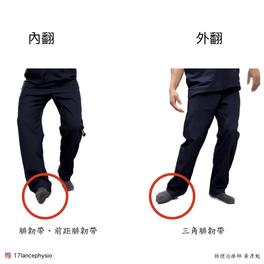 常見受傷機制:腳踝內翻與外翻