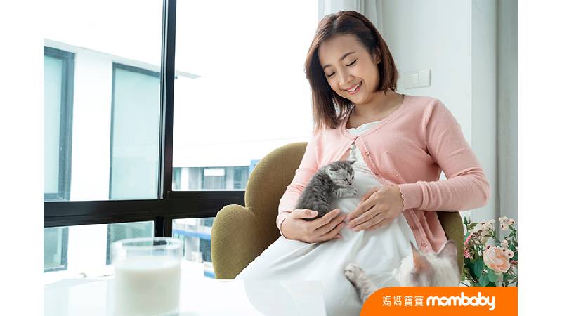 有飼養寵物的孕婦，可以抽血檢驗確認體內是否有弓漿蟲抗體。