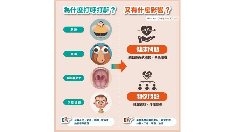 打呼或打鼾是由於睡覺時呼吸造成上呼吸道軟組織的震動，因而產生的聲音