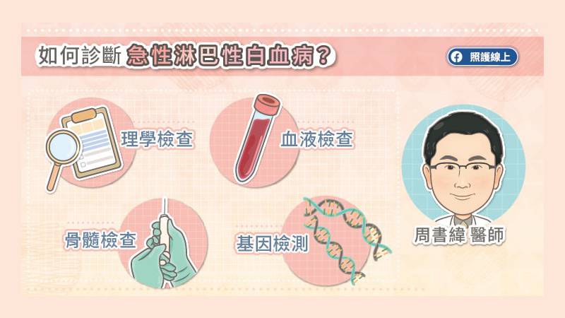 如何診斷急性淋巴性白血病？