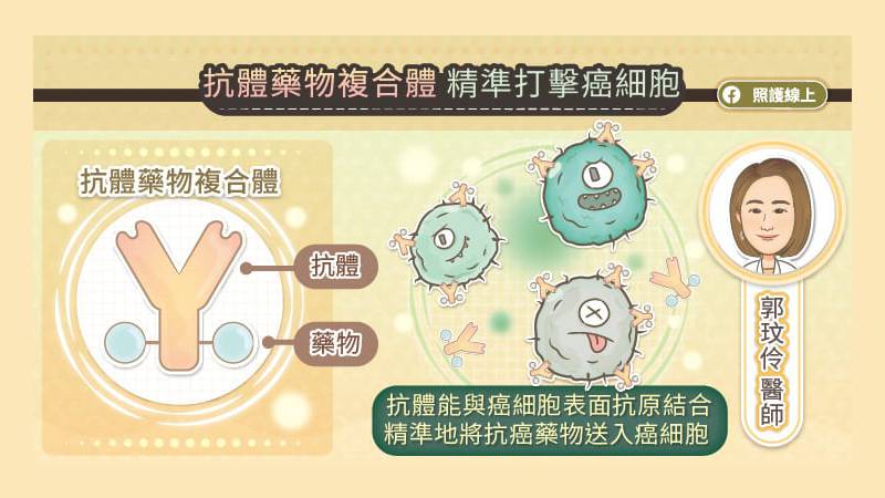 抗體藥物複合物 精準地將抗癌藥物送至癌細胞