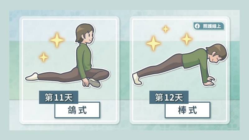 第十一天：鴿式