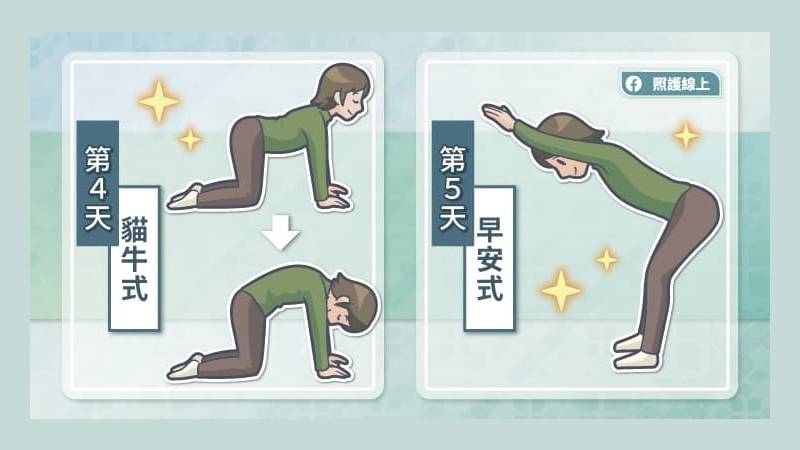 第四天：貓牛式