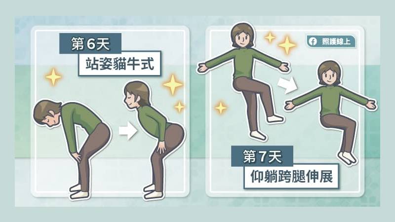 第六天：站姿貓牛式
