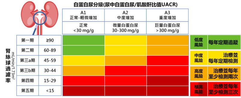 上次看健檢報告是什麼時候？2數值判別慢性腎臟病前兆