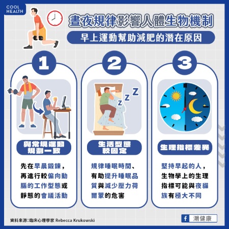 晝夜規律影響生物機制