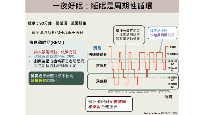 每天要睡多久才夠？各年齡層「每日建議睡眠時數」大公開_圖2