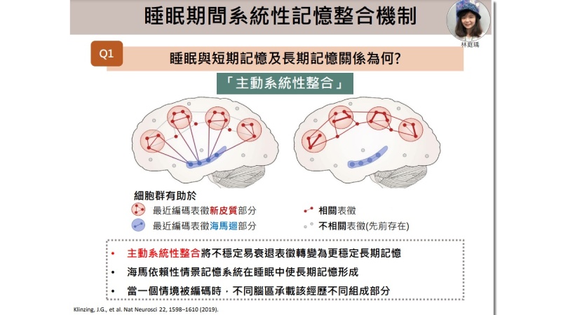 每天要睡多久才夠？各年齡層「每日建議睡眠時數」大公開_圖4