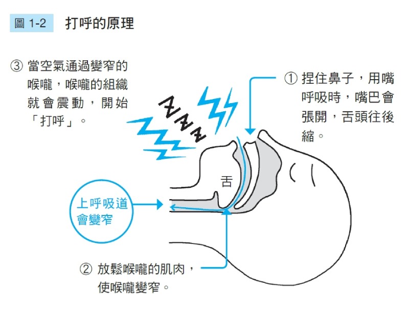 擺脫鼻塞、打呼、睡不好的「鼻呼吸