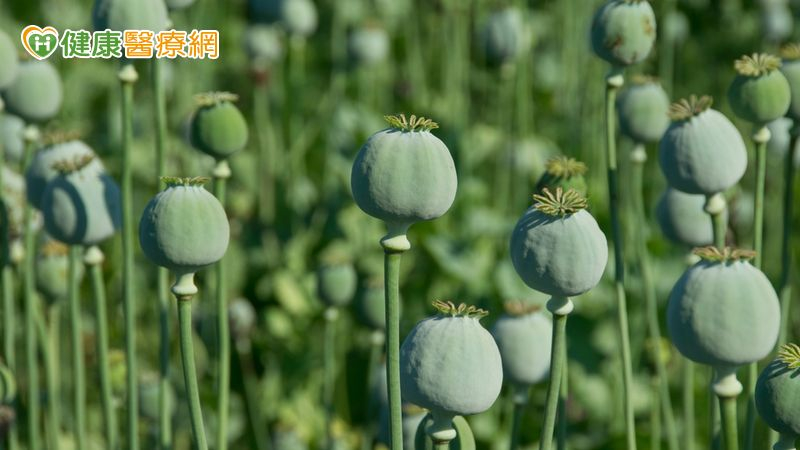 鴉片到底有什麼成分，才有這麼強的止痛、鎮靜效果？關於這一點，一直沒有人知道。終於，德國藥劑師弗里德里希．瑟圖納（Friedrich Sertürner）找到了答案。