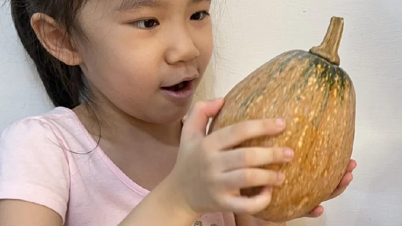南瓜適合各個年齡層的人食用，適量攝取不僅有助於營養均衡，更能預防疾病。（中華新聞雲記者蔡琇惠攝）