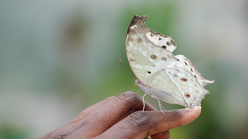瓊瑤用生命的最後文字，告訴我們應該如何熱愛生命，也如何平靜地接受它的終結。這不僅是她個人的生命哲學，更是對所有人的啟示：請務必珍惜當下，用愛與熱情燃燒生命，直到它自然熄滅的那一天。