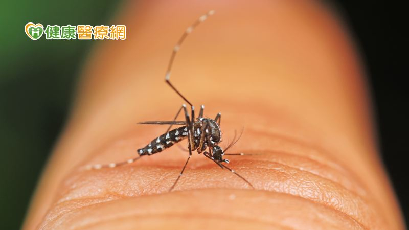 今年截至2月17日國內已累積7例屈公病確定病例，都是境外移入的個案，境外移入累積病例數為近5年同期最高。