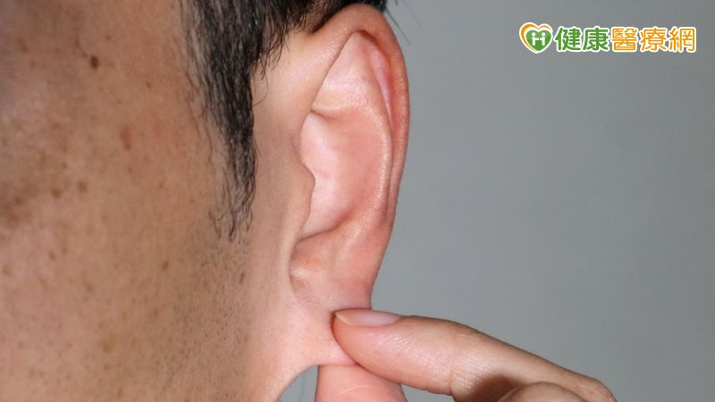 耳穴結構精細，具複雜的神經血管系統，是神經刺激治療的重要區域。