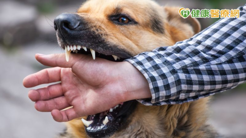 正確的緊急處理可降低感染、疤痕與組織損傷的風險。